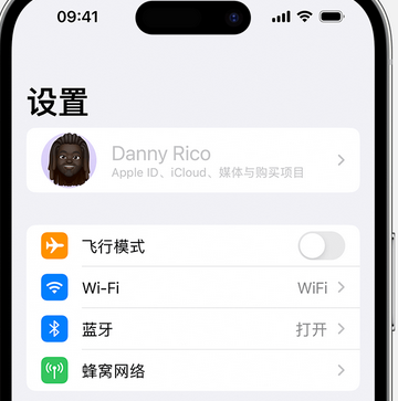 高碑店appleID维修服务iPhone设置中Apple ID显示为灰色无法使用