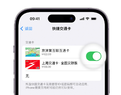 高碑店apple维修点分享iPhone上更换Apple Pay快捷交通卡手绘卡面 