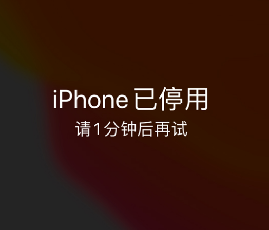 高碑店苹果手机维修分享:iPhone 显示“不可用”或“已停用”怎么办？还能保留数据吗？ 