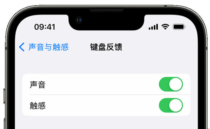 高碑店苹果手机维修分享iPhone 14触感键盘使用方法 