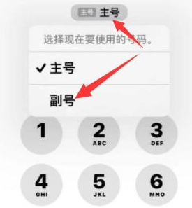 高碑店苹果14维修店分享iPhone 14 Pro Max使用副卡打电话的方法 