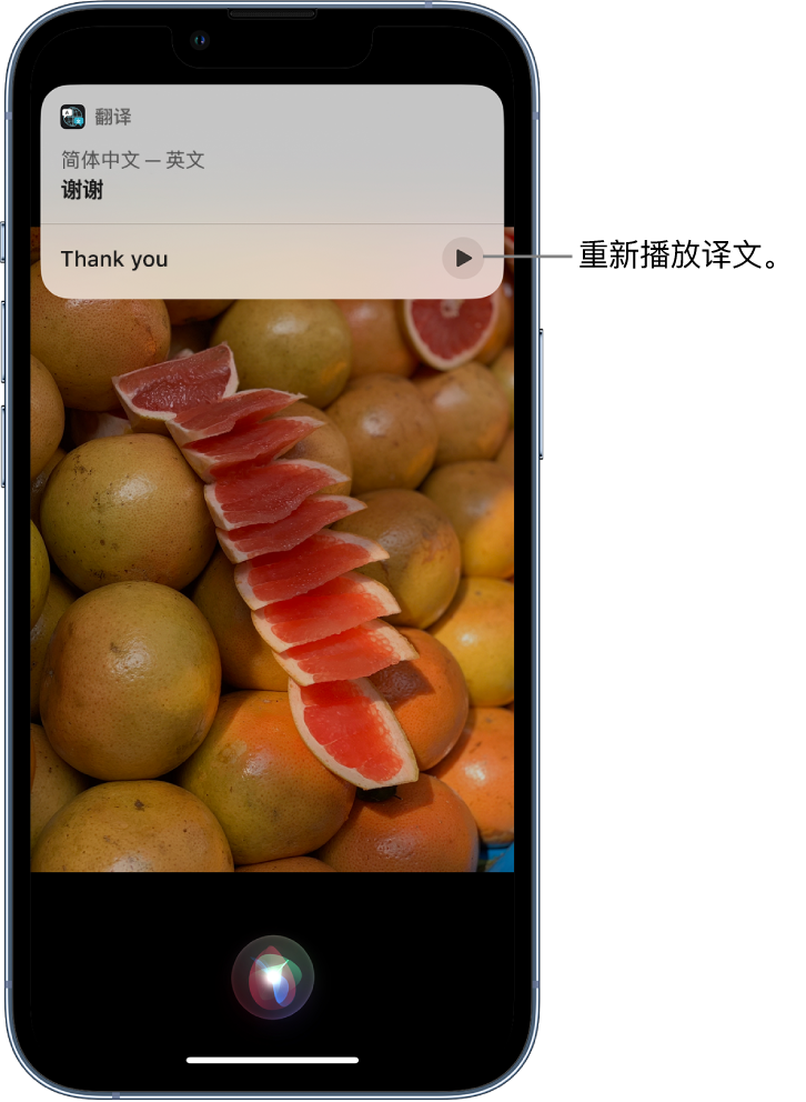 高碑店苹果14维修分享 iPhone 14 机型中使用 Siri：了解 Siri 能帮你做什么 