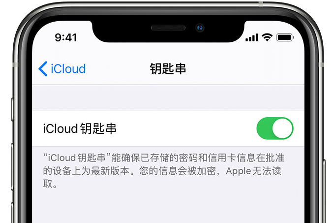 高碑店苹果手机维修分享在 iPhone 上开启 iCloud 钥匙串之后会储存哪些信息 