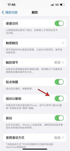 高碑店苹果手机维修分享iPhone手机如何设置摇一摇删除文字 