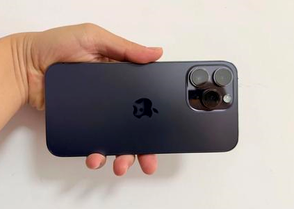 高碑店苹果维修点分享iPhone 14 Pro Max黑屏少见故障盘点 